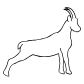 wild sheep icon