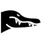 Crocodile face icon