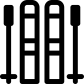 skis icon