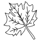 sugar maple leaf icon