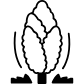 poplar tree icon