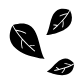 Fall leaves icon