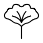 ginkgo leaf icon