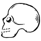 human skull icon