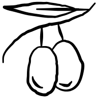 olive Icon 8480417