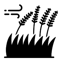 set a pace icon