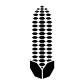 Corn icon