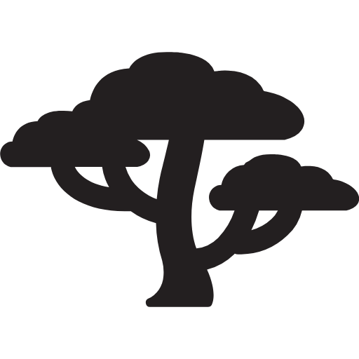 acacia tree icon