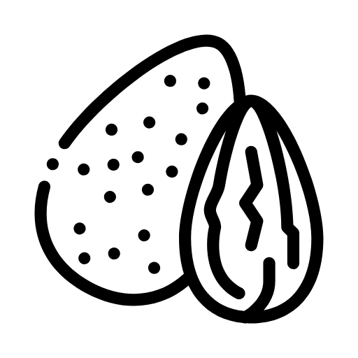 almond nut icon