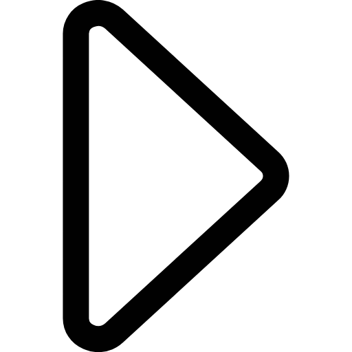 arrow caret right icon