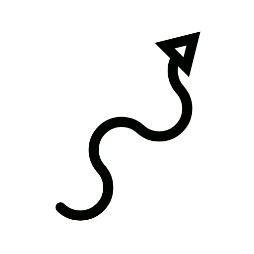 arrow icon