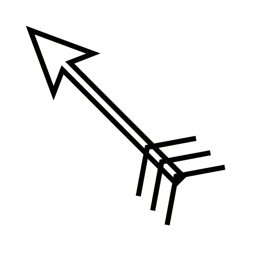 arrow icon