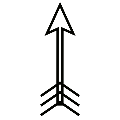 arrow icon