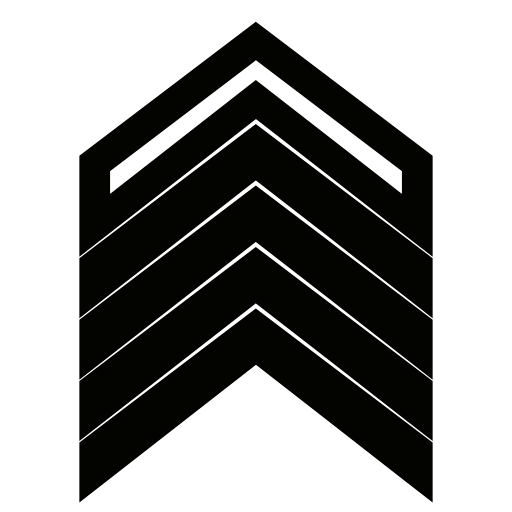 arrow icon