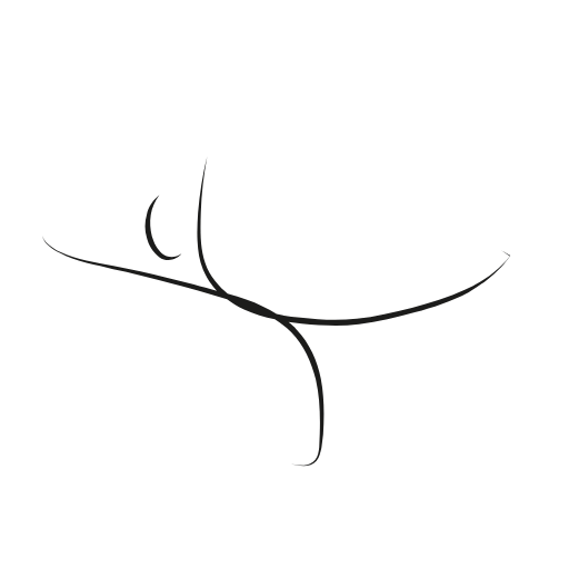 balance dancer icon