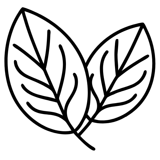 bay leaf icon
