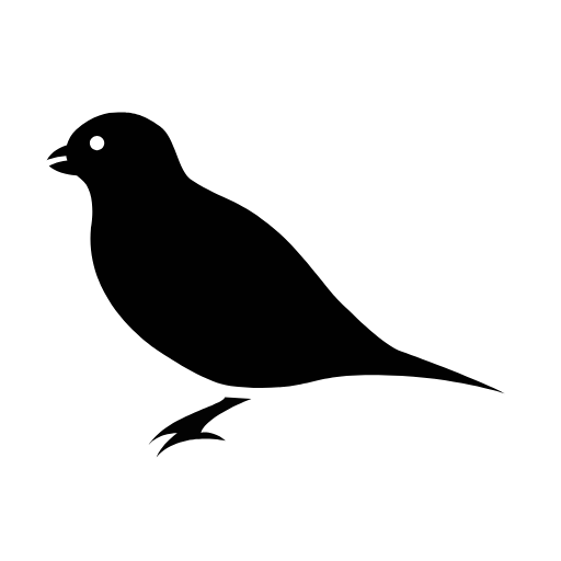 bird icon