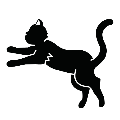 black cat icon