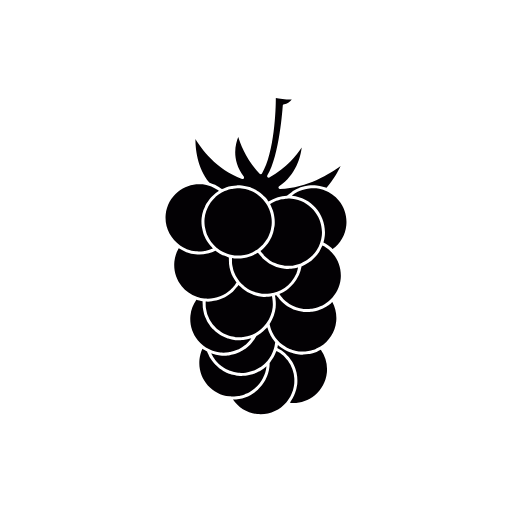 blackberry icon