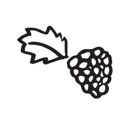 blackberry icon