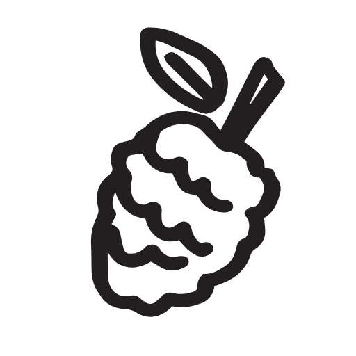 blackberry icon