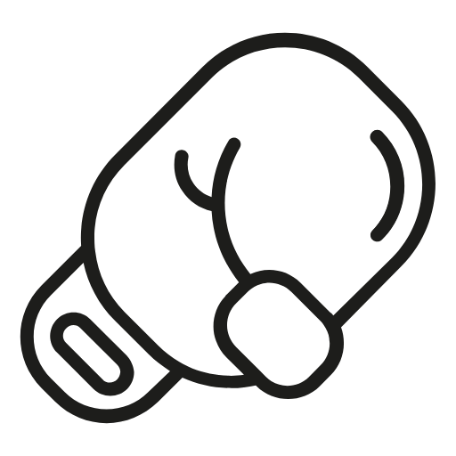 boxing glove icon