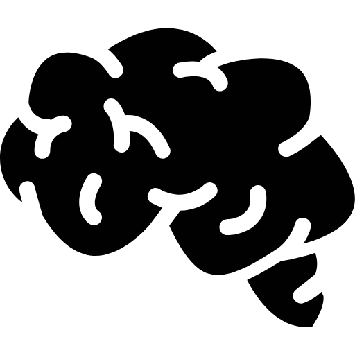 brain icon