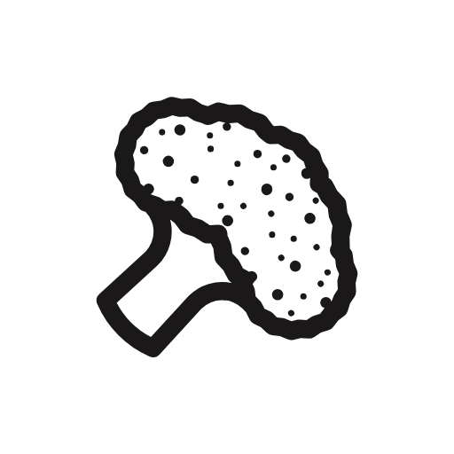 broccoli icon