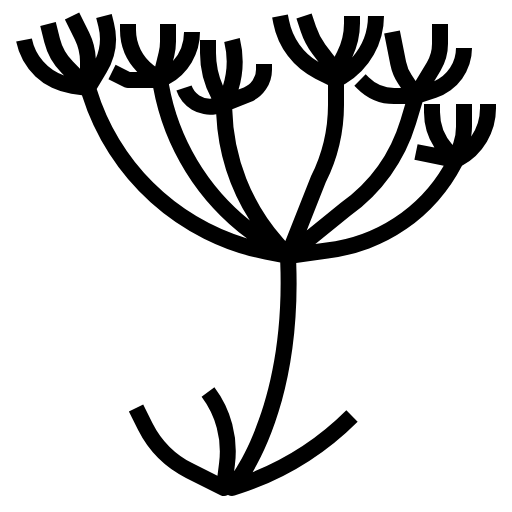 caraway icon