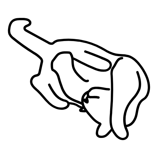 cat icon