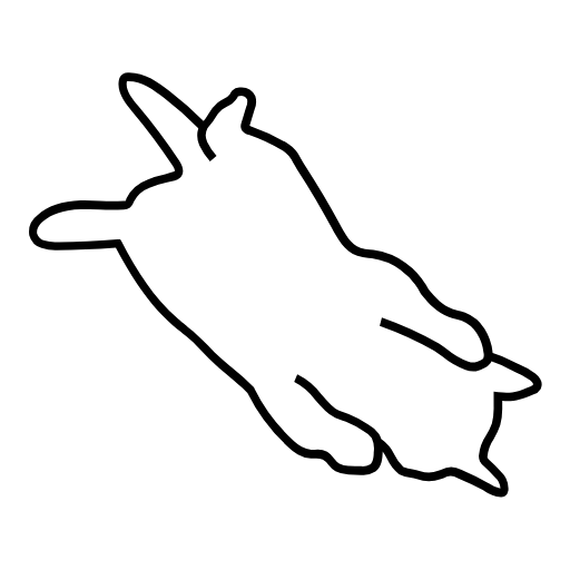 cat icon