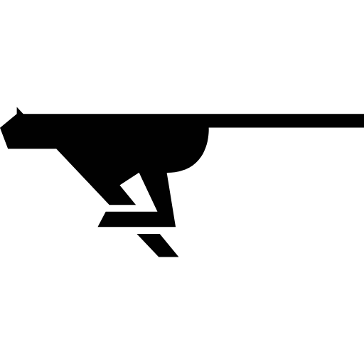 cheeta icon