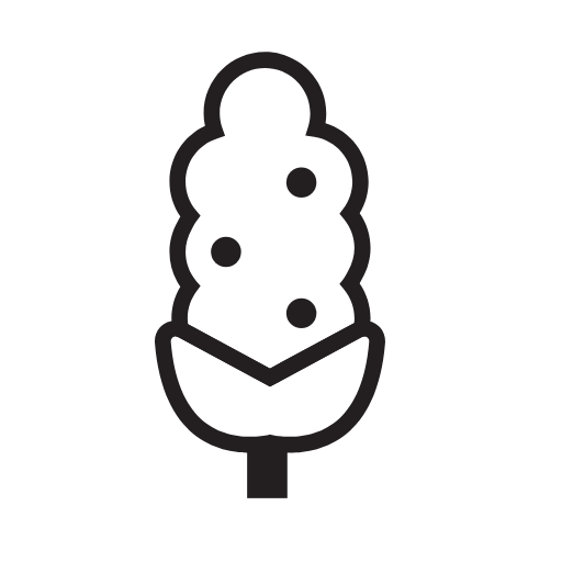 corn icon