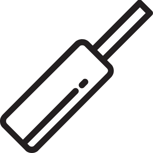 cricket bat icon