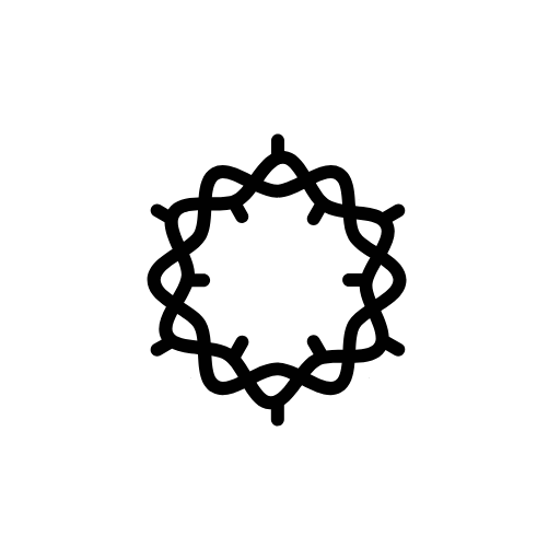 crown of thorns icon