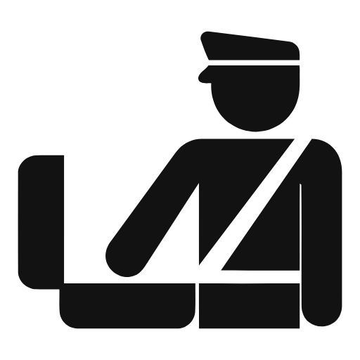 customs icon