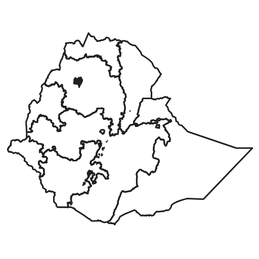 ethiopia states icon
