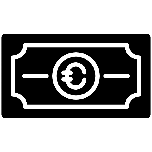 euro money icon