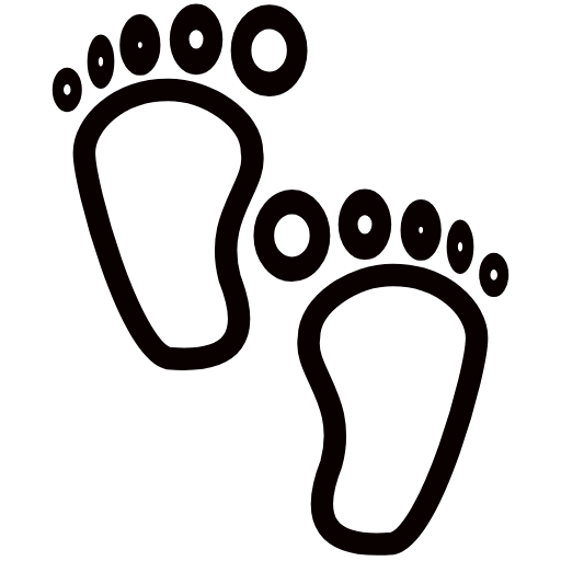 footprints icon