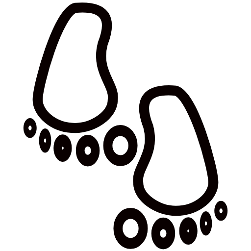 footprints icon