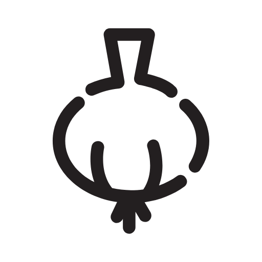 garlic icon