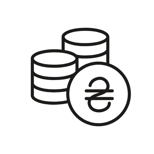 hryvnia icon