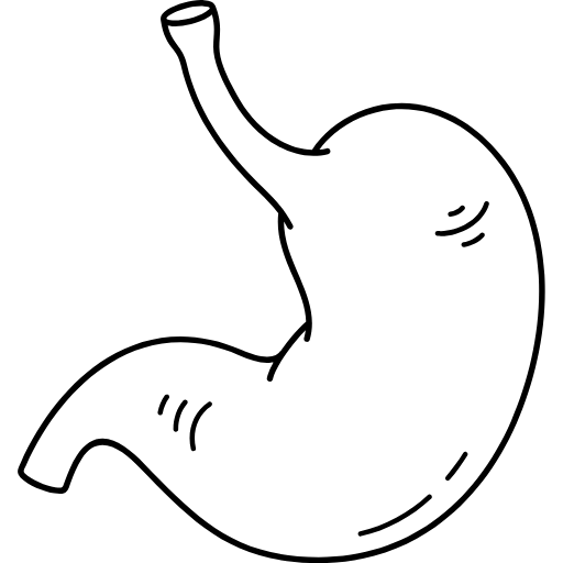 human stomach icon