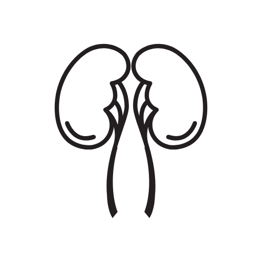 kidney icon