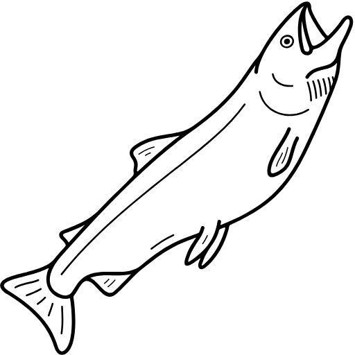 king salmon icon
