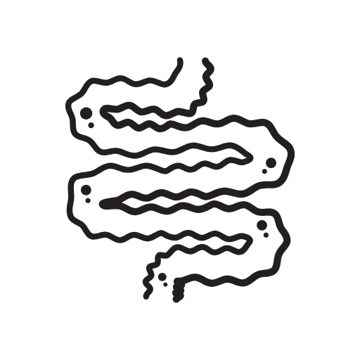 large intestine icon
