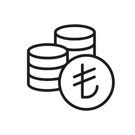 lira icon