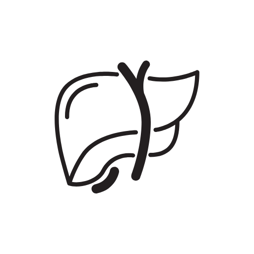 liver icon