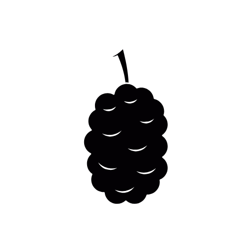 mulberry icon