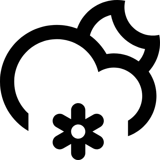 night snow icon